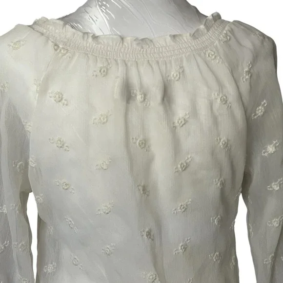Abercrombie Fitch Sz XS Sheer Blouse Ruffles Elastic Waist Embroidered Victorian - Picture 6 of 16